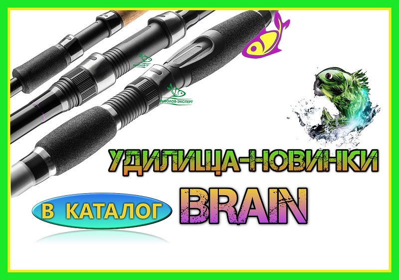 brain-novinki
