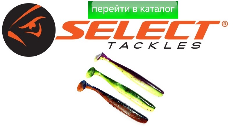 novinki_select-2019