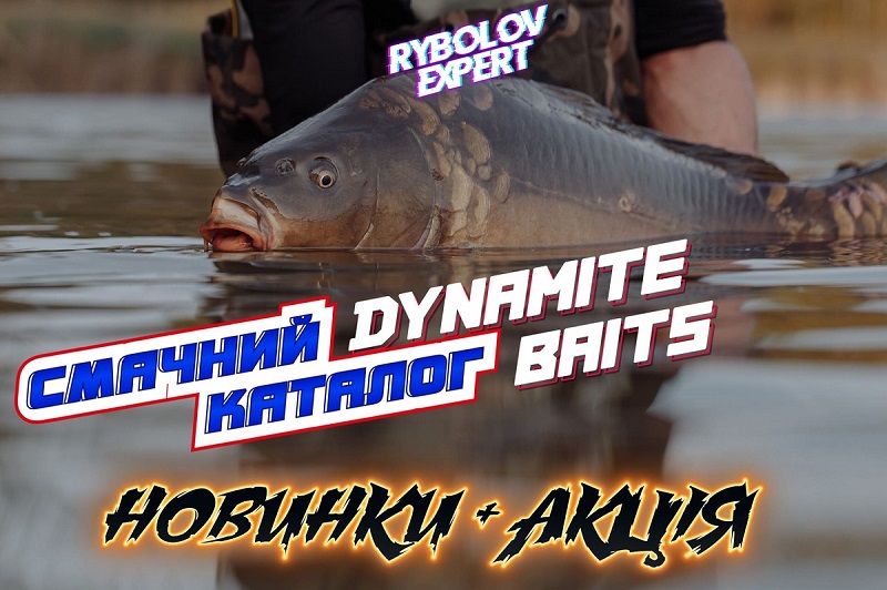 dynamite-boyly-2021