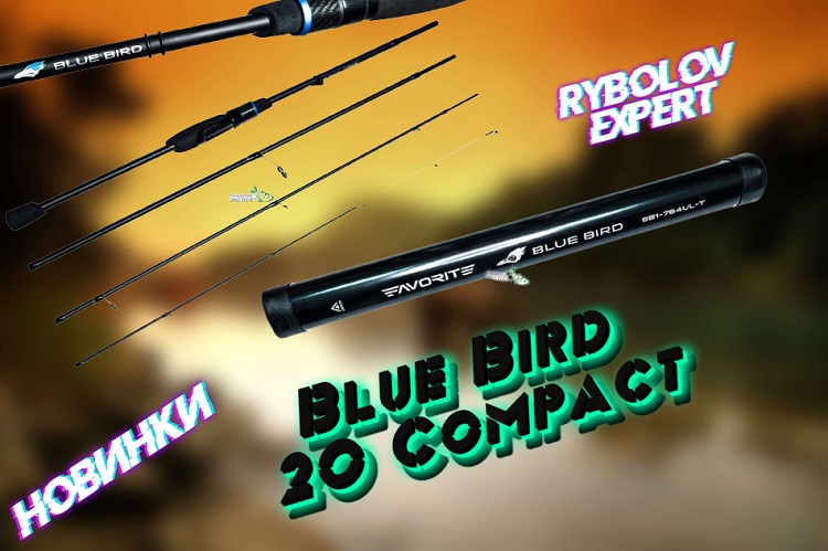 favorite-blue-bird-compact-20
