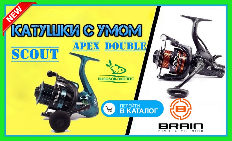 novye-katushki-brain-dlya-fidera-i-karpa