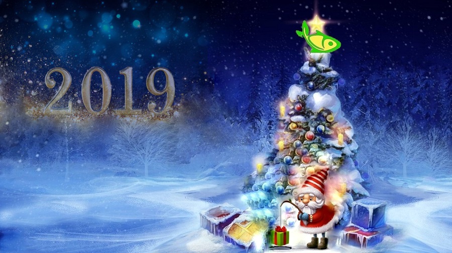 new-year-2019