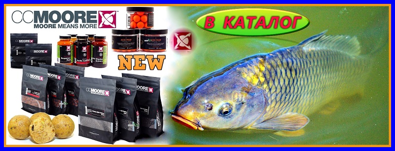 cc-moore-katalog-2019