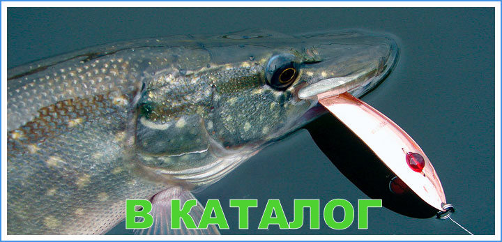 katalog-kuusamo
