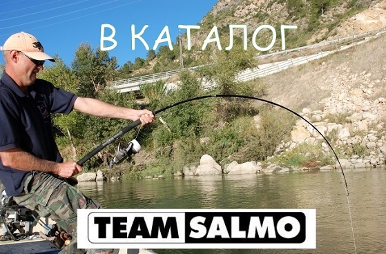 spinningi-salmo-boat