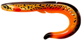 Силикон Fishup Ram Grub 7" - 304 - Red Tiger (1шт/уп)
