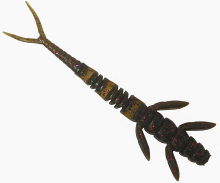 Силикон Fishup Flit 2,0" 050 - Green Pumpkin Brown/Red & Purple (9шт/уп)