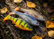 Силикон Savage Gear 3D Roach RTF FS 120mm 34g