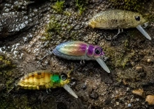 Воблер Strike Pro Beetle Buster 40F 5.7g