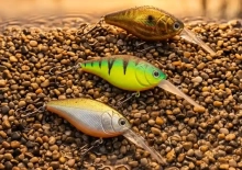 Воблер Strike Pro Cranky-X Deep 50F
