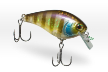 Воблер Jackall Aska 50F-SR 7,6г - (Circuit Board Lip) FP Gold Gill