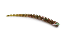Силікон Lucky John King Leech 2,0" col.S21