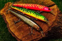 Воблер Jackall MagSquad 160SP