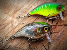 Воблер Jackall Chubby 41F-SSR
