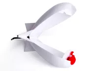 Ракета Spomb Midi