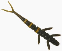 Силикон Fishup Flit 2,0" 043 - Watermelon Brown/Black (9шт/уп)