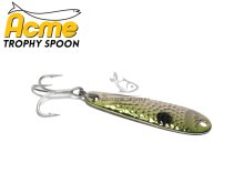 Блесна Acme Trophy Spoon 14г T500
