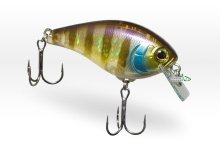Воблер Jackall Aska 50F-SR 7,6г - (Circuit Board Lip) FP Gold Gill
