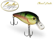 Воблер Lucky Craft Classical Leader 55F-SR Aurora Gold Northern Perch