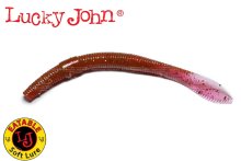 Силікон Lucky John Wacky Worm 3,9" S14