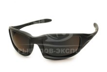 Окуляри поляризаційні Behr Trendex Sensosol Corrie