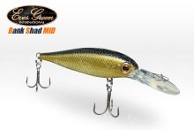 Воблер Ever Green Bank Shad MID 60F col.025