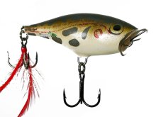 Воблер Rapala Skitter Pop SP07-F Frog