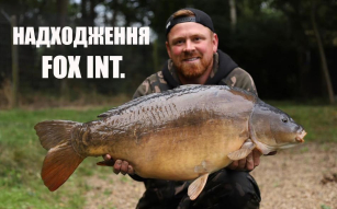 FOX - надходження новинок та хітів коропятника