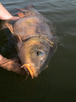 Carp Zoom - надежный фундамент успешной рыбалки!