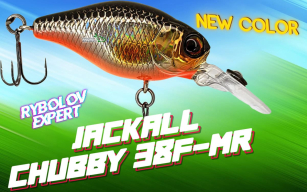 Поповнення Jackall та новий колір Chubby – краса універсальних рішень!