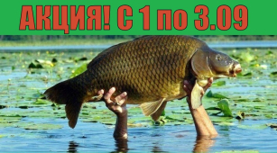 Наша формула рыбацкого счастья - лучшие снасти по лучшим ценам!
