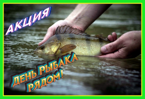Уловистое место, где клюют скидки!