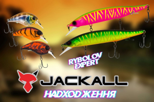 Надходження Jackall - смачні воблера для гострих зубів!