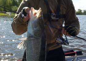 Формула Shimano = максимальный выбор + минимальные цены!