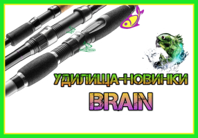 Нові вудилища від TM Brain - фідерні, коропові і човнові
