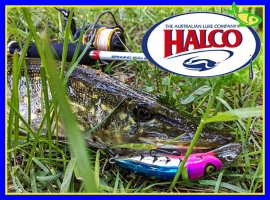 Поступление Halco - выбери ключевой элемент троллинга!