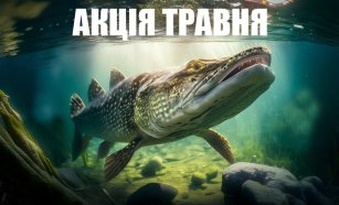 Акція травня