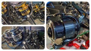 Мега акція на товари Shimano
