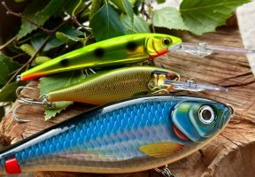 Акція на продукцію Rapala