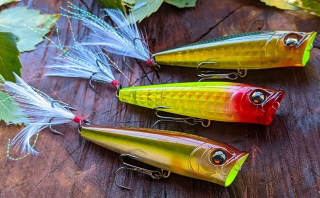 Воблер Duel L-Bass Popper 65F
