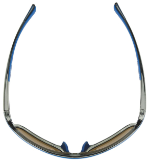 Очки Golden Catch polarized SBL201BLR