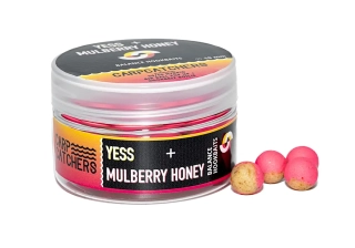 Бойлы Carp Catchers Balance Hookbaits YESS & Mulberry Honey 10mm
