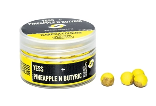 Бойлы Carp Catchers Balance Hookbaits YESS & Pineapple N Butyric 10mm