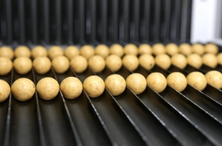 Бойлы Carp Catchers Corn & Tiger Shelf Life Boilies 20mm 1kg
