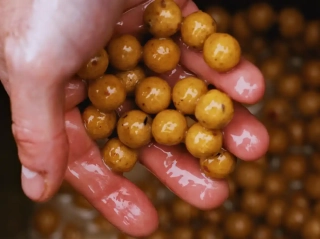 Бойли Dynamite Baits Peppered Fruit Boilies