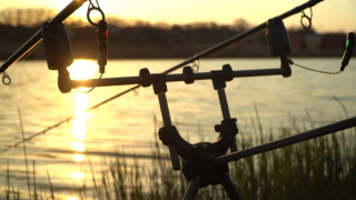 Род-Под Golden Catch Compact