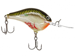 Воблер Rapala DT (Dives-To) 60F BOS