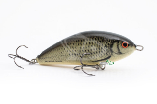 Воблер Salmo Fatso 10S col.TT