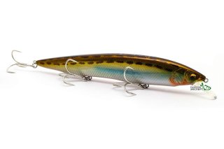 Воблер Megabass Kanata SW 160F col.LZ Hatahata