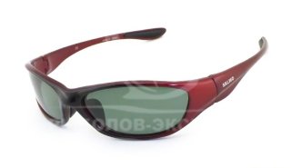 Очки Salmo поляризационные S-2518